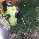 Fire Hydrant Concerns at 4904 26 Av NE