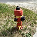Fire Hydrant Concerns at 19 Templeby Cr NE