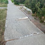 Sidewalk or Curb - Repair at 1751 2 Av NW