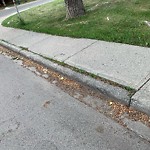 Sidewalk or Curb - Repair at 2017 33 St SE