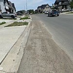 Spring On-Street Bike Lane Cleaning at 285 Masters Av SE