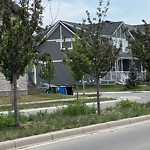 DO NOT USE - Mowing - Residential Boulevard up to 50km/h-WAM at 151 Cornerbrook Ga NE