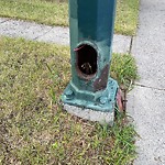 Streetlight Damage at 3047 25 St SW