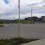 DO NOT USE - Mowing - Residential Boulevard up to 50km/h-WAM at 9 Walcrest Ga SE