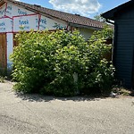 DO NOT USE - Mowing - Residential Boulevard up to 50km/h-WAM at 136 Whitestone Cr NE