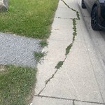 Sidewalk or Curb - Repair at 179 Pinewind Rd NE