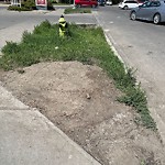 DO NOT USE - Mowing - Residential Boulevard up to 50km/h-WAM at 1304 14 St SW