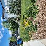 DO NOT USE - Mowing - Residential Boulevard up to 50km/h-WAM at 91 Seton Gardens SE Southeast Calgary