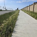 DO NOT USE - Mowing - Residential Boulevard up to 50km/h-WAM at 275 Evansglen Dr NW