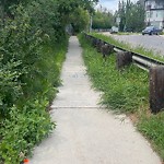 DO NOT USE - Mowing - Residential Boulevard up to 50km/h-WAM at 1931 12 Av SW