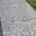 Sidewalk or Curb - Repair at 1604 28 Av SW