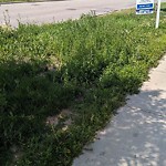 DO NOT USE - Mowing - Residential Boulevard up to 50km/h-WAM at 380 Silverado Plains Ci SW