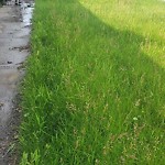 DO NOT USE - Mowing - Residential Boulevard up to 50km/h-WAM at 58 Hidden Valley Ga NW