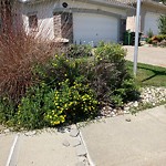 Sidewalk or Curb - Repair at 106 Panorama Hills Vw NW