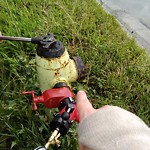 Fire Hydrant Concerns at 991 32 Av NE