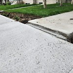 Sidewalk or Curb - Repair at 4827 23 Av NW