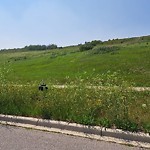 DO NOT USE - Mowing - Residential Boulevard up to 50km/h-WAM at 132 Chaparral Valley View SE