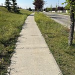 DO NOT USE - Mowing - Residential Boulevard up to 50km/h-WAM at 223 Panamount Ht NW