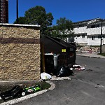 Debris on Street, Sidewalk, Boulevard at 38 Plum Tree Pl SW