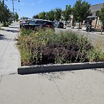 DO NOT USE - Mowing - Residential Boulevard up to 50km/h-WAM at 103 Mahogany Pz SE