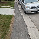 Sidewalk or Curb - Repair at 68 Beddington Rise NE Beddington Heights