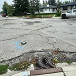 On-Street Bike Lane - Repair at 2744 16 Av SW