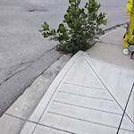 DO NOT USE - Mowing - Residential Boulevard up to 50km/h-WAM at 5004 2 St NW