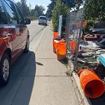 Debris on Street, Sidewalk, Boulevard at 2720 Doverbrook Rd SE