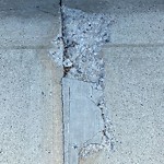Sidewalk or Curb - Repair at 5015 Vallance Cr NW
