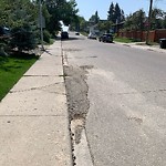 Debris on Street, Sidewalk, Boulevard at 2243 28 Av SW