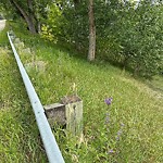 DO NOT USE - Mowing in a Park - Residential Boulevard up to 50km/h-WAM at 55 Rosery Dr NW