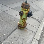 Fire Hydrant Concerns at 219 9 Av SW