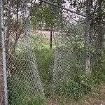 Fence Concern in a Park-WAM at 5802 133 St NW