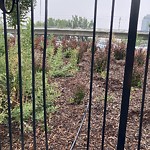 Fence Concern in a Park-WAM at 649 Mcdougall Rd NE