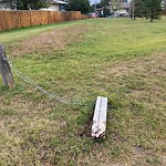 Fence Concern in a Park-WAM at 620 40 St SE