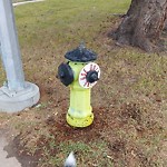 Fire Hydrant Concerns at 9335 Academy Dr SE
