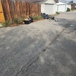 Debris on Backlane at 5907 22 Av NE