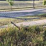 Fence Concern in a Park-WAM at 655 Ranchlands Bv NW