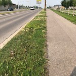 DO NOT USE - Mowing - Residential Boulevard up to 50km/h-WAM at 2296 Fish Creek Bv SW