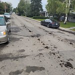 Debris on Street, Sidewalk, Boulevard at 2011 53 Av SW