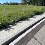 DO NOT USE - Mowing - Residential Boulevard up to 50km/h-WAM at 1160 Lake Twintree Dr SE