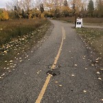 Pedestrian and Cycling Pathway - Repair at 3520 90 Av SW