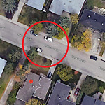 Tree Maintenance - City Owned at Walnut Dr SW Wildwood Calgary