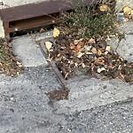 Catch Basin / Storm Drain Concerns at 1320 17 A St NW