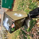 In a Park - Litter Pick Up or Overflowing Park Bins at 65 Shannon Dr SW Southwest Calgary