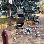 In a Park - Litter Pick Up or Overflowing Park Bins at 1994 1 St SW