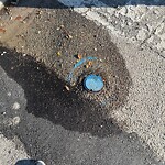Catch Basin / Storm Drain Concerns at 816 38 Av SW