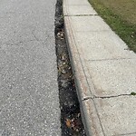 Pothole Repair at 1771 12 Av NE