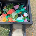 In a Park - Litter Pick Up or Overflowing Park Bins at 4351 Sage Hill Dr NW