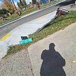 Sign on Street, Lane, Sidewalk - Repair or Replace at 2401 16 St SW